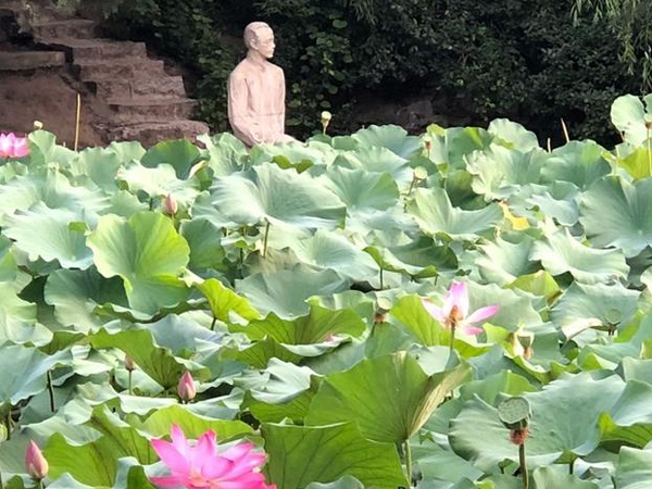 清華園里的朱自清的雕�?jpg.jpg 清華園里的朱自清的雕�?jpg.jpg